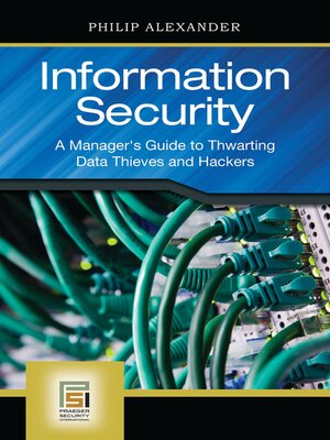 Information Security - ebook